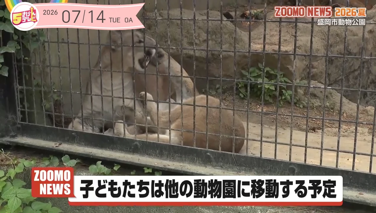 イメージ1