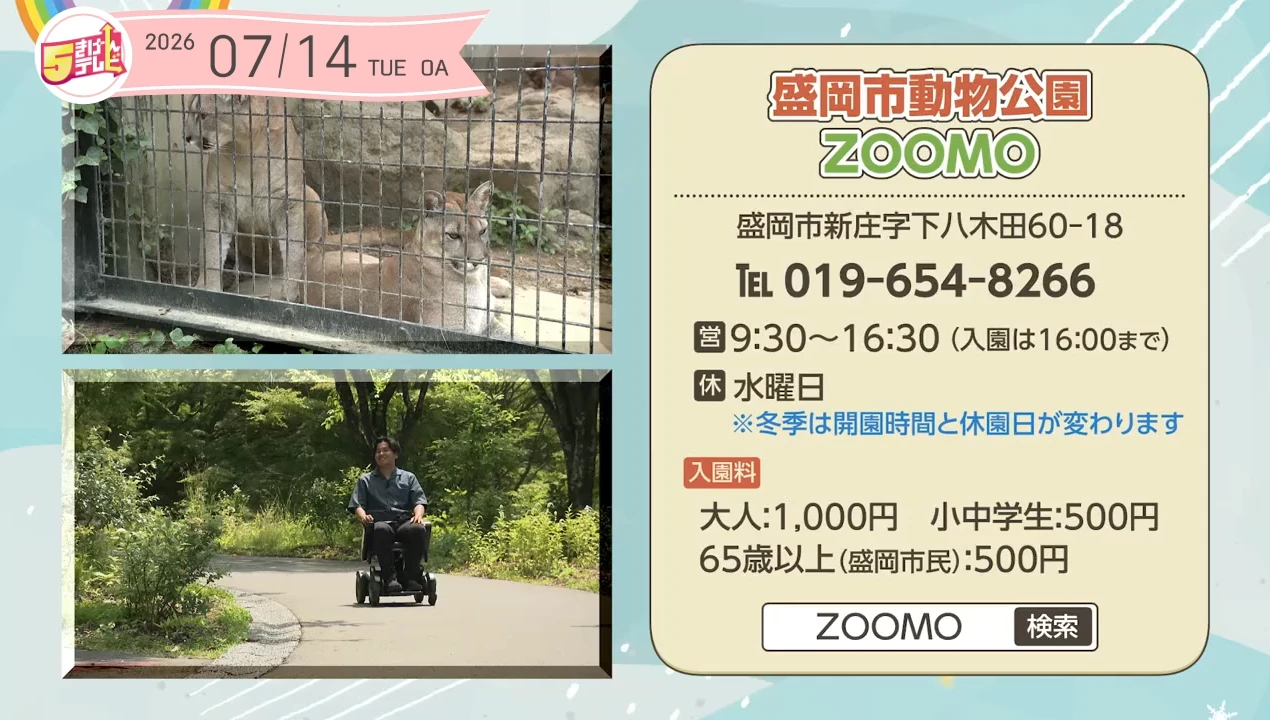 イメージ1