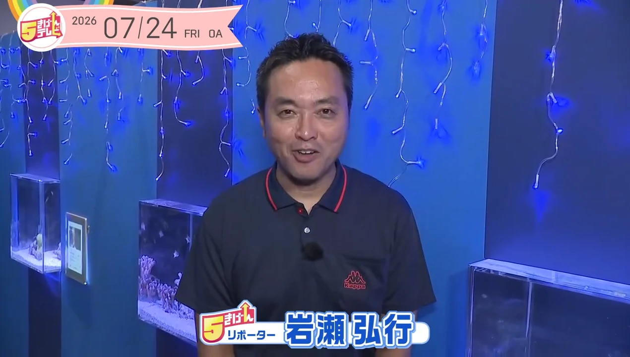 イメージ1