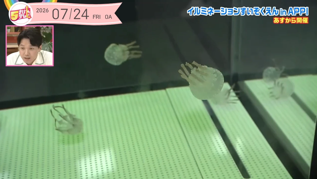 イメージ1
