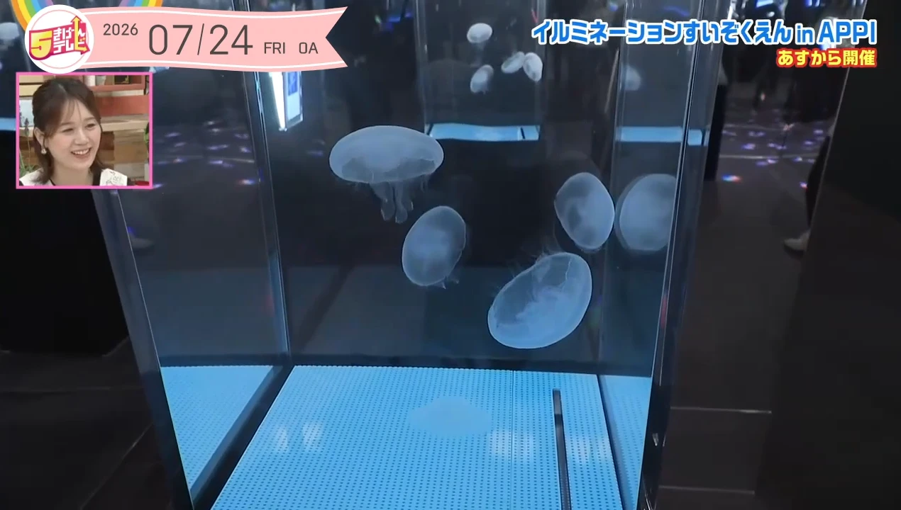 イメージ2