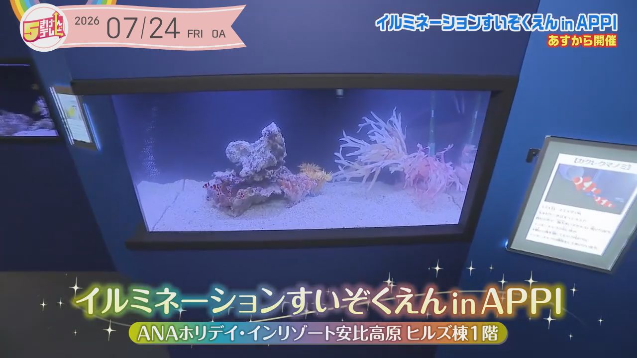 涼み・癒される！イルミネーションすいぞくえん inAPPI