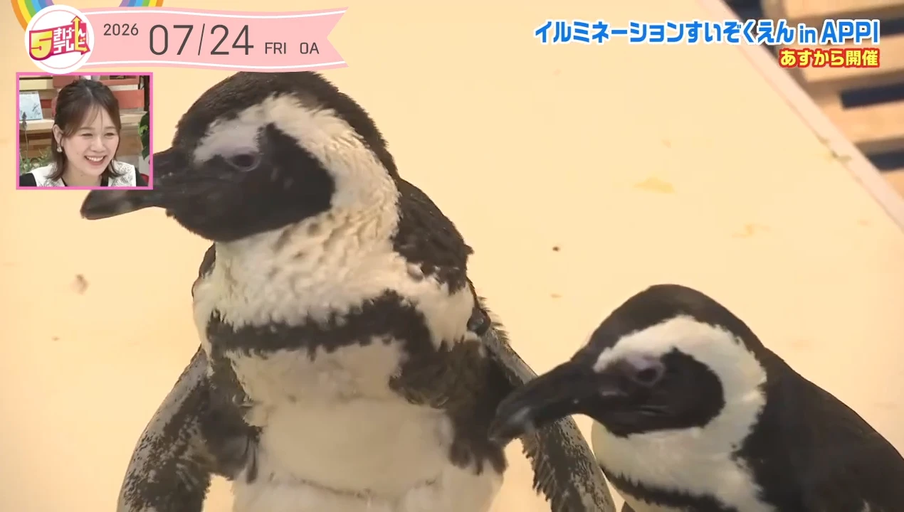 イメージ1