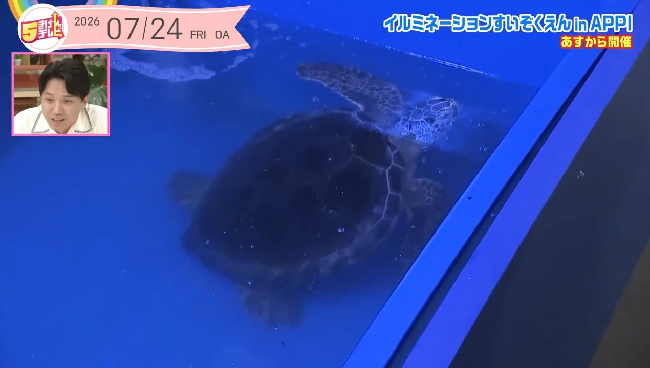 イメージ1