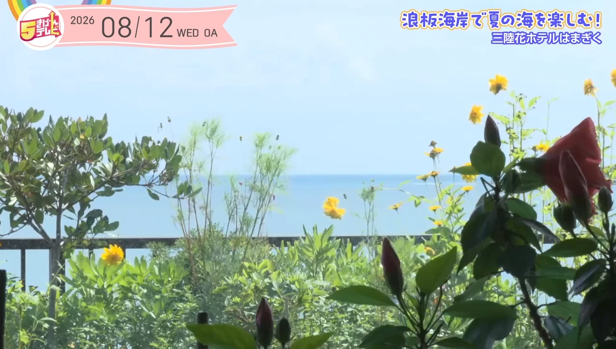 イメージ1