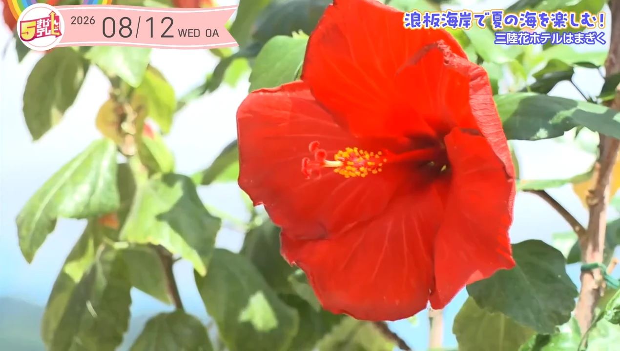 イメージ2