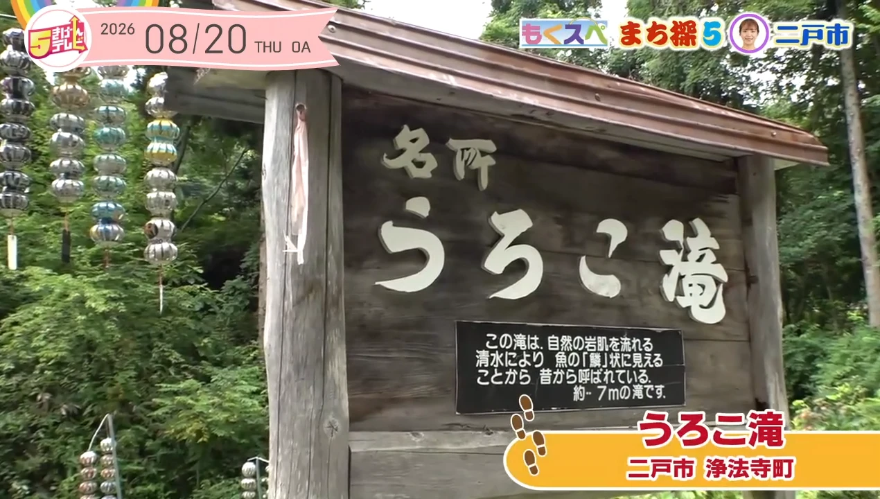イメージ1