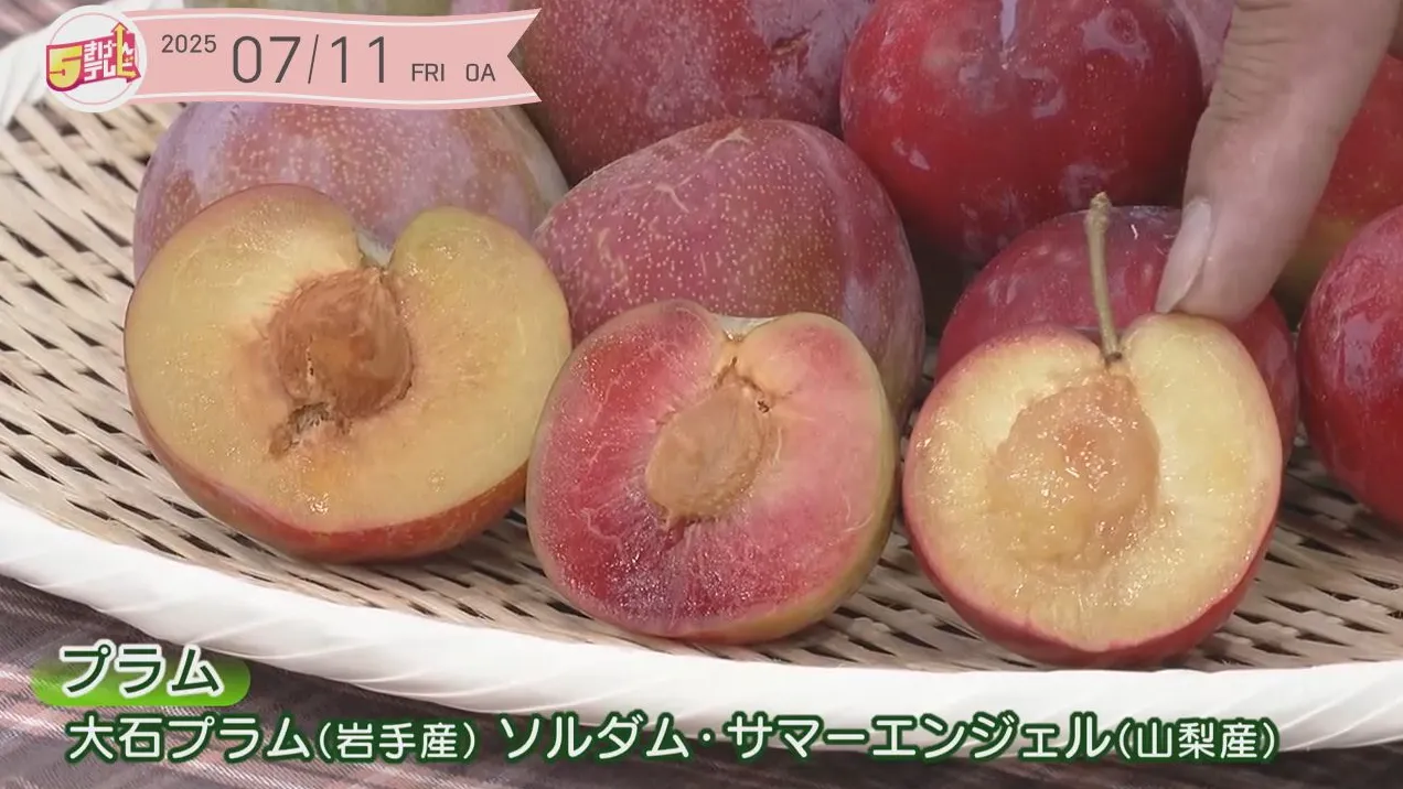 イメージ1