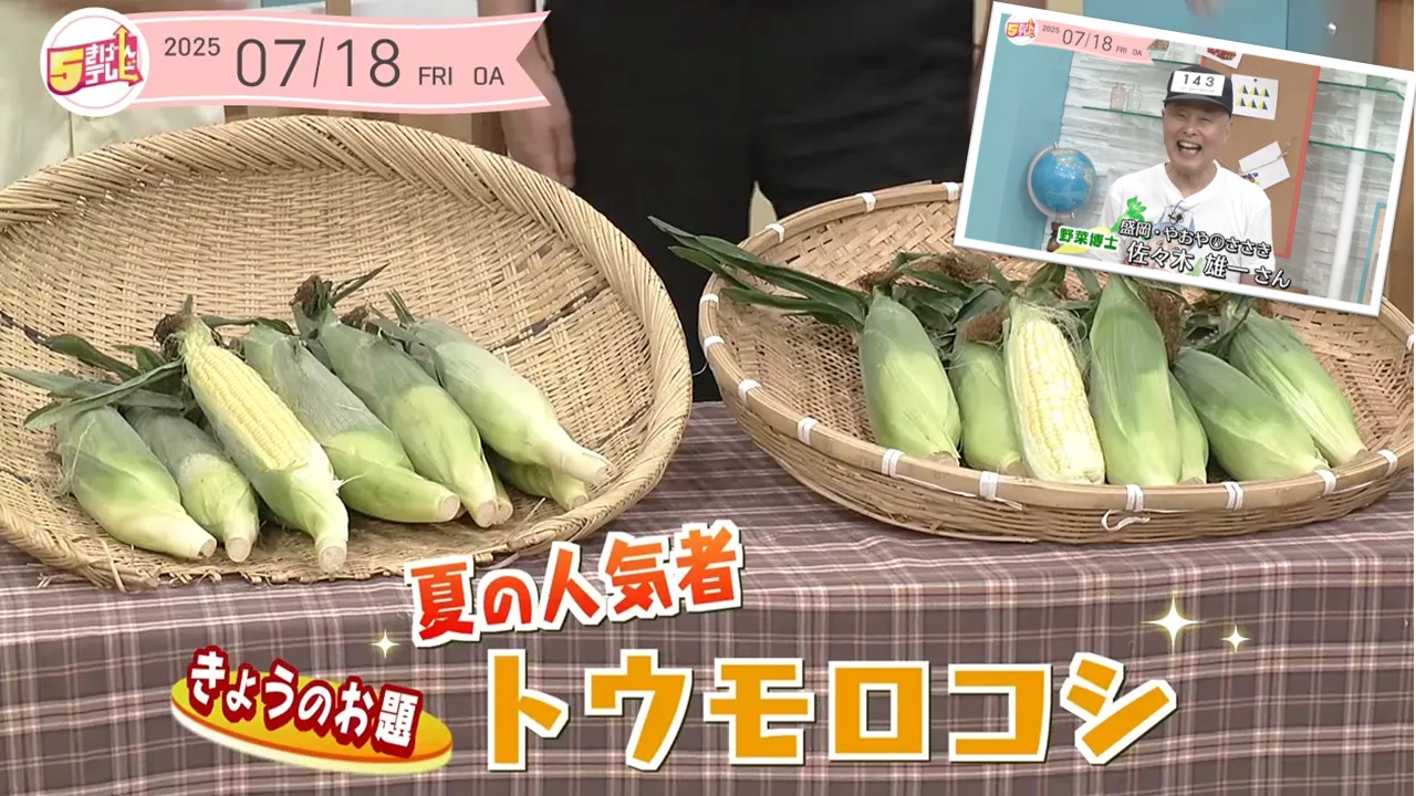 5きげん知恵袋 ～夏の人気者！トウモロコシ～の画像