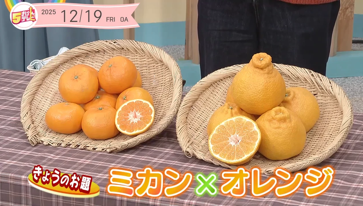 5きげん知恵袋 ~ミカン×オレンジ~