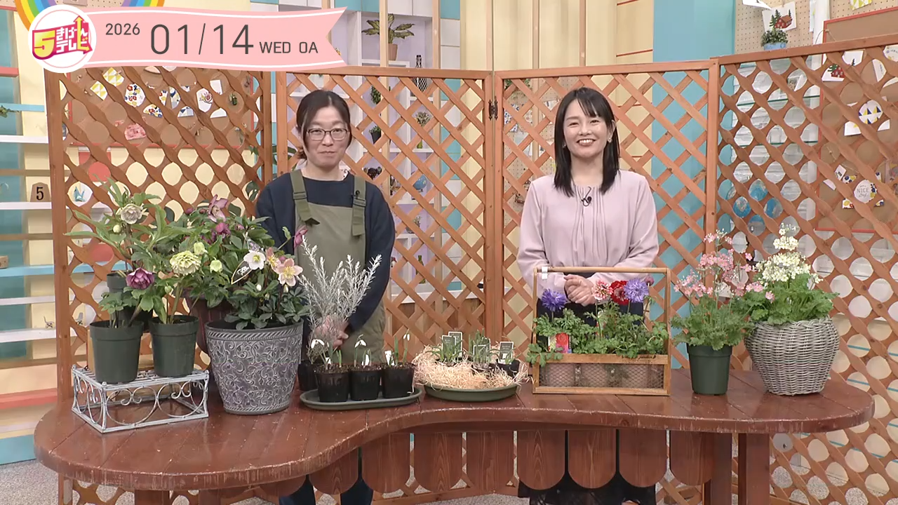 今年も花やかに｜ガーデニング倶楽部｜テレいわ屋