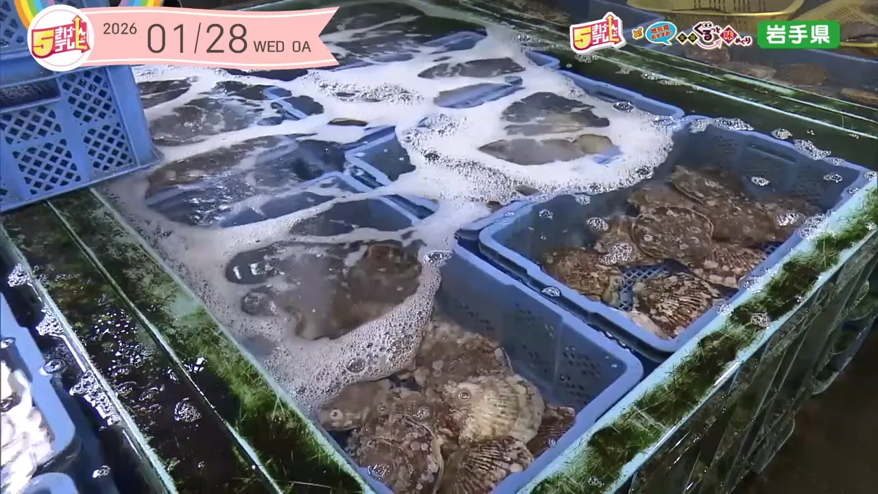イメージ1