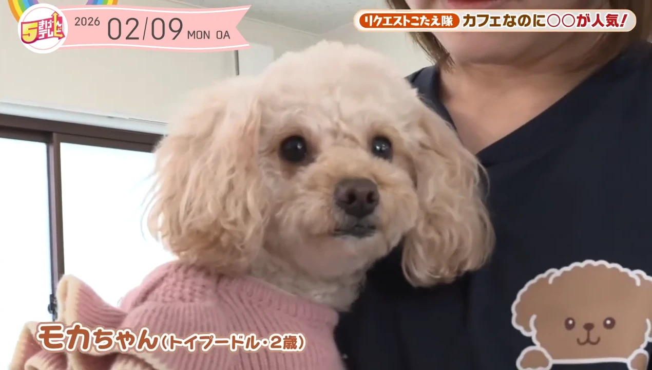 イメージ1