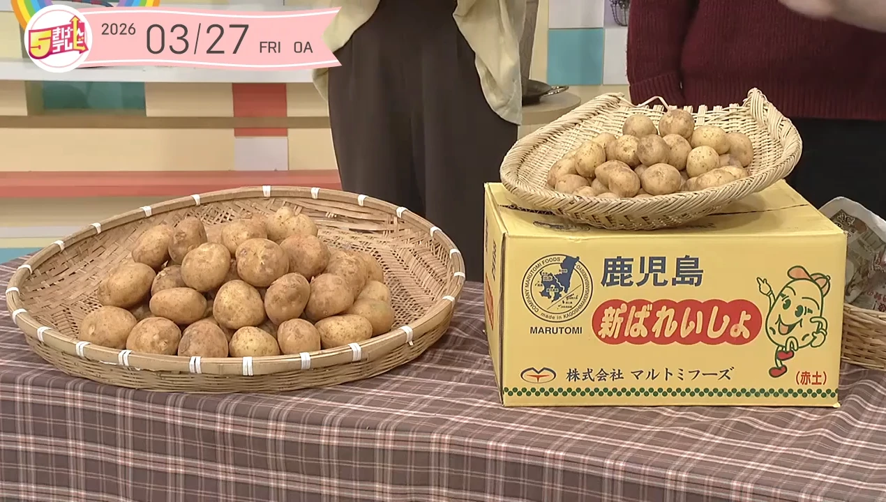 イメージ1