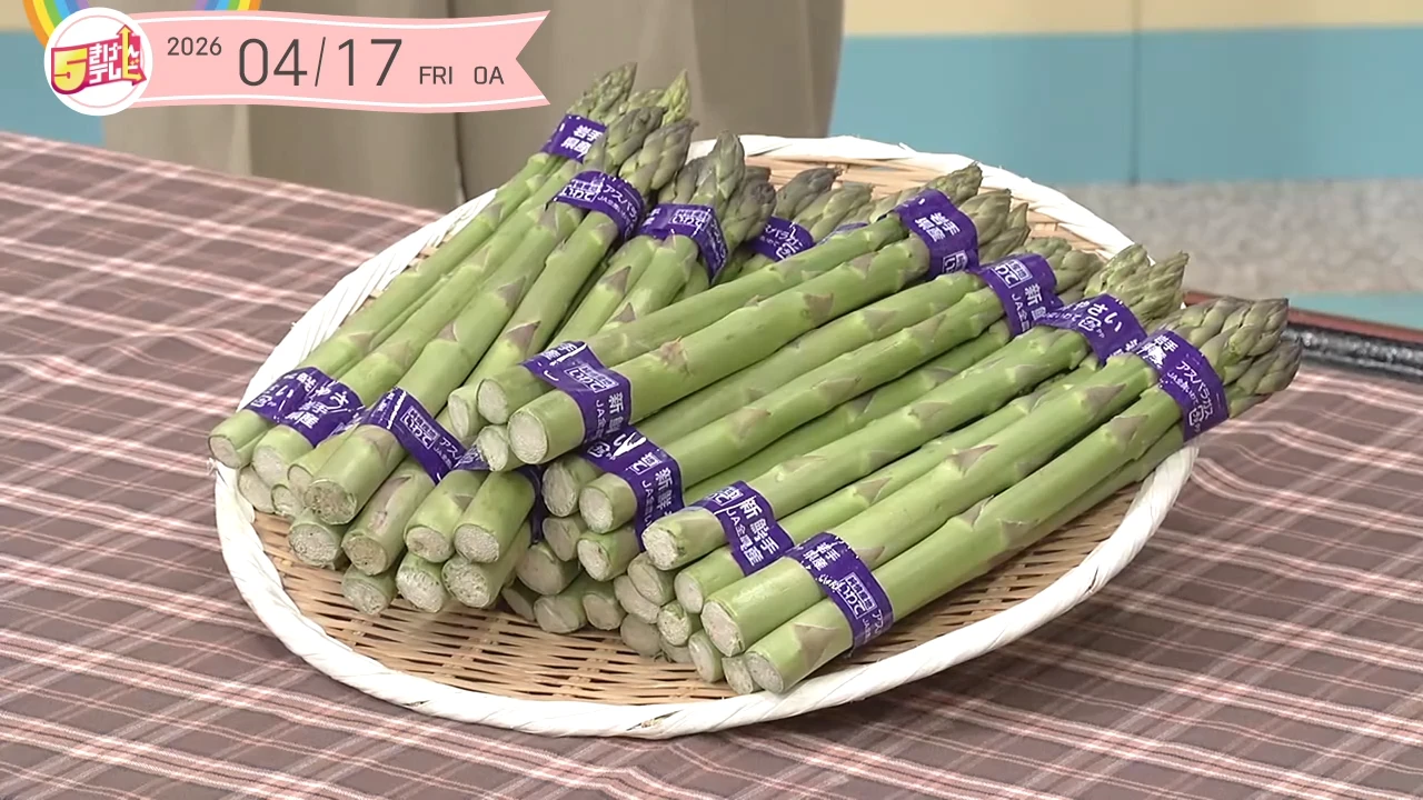 イメージ1