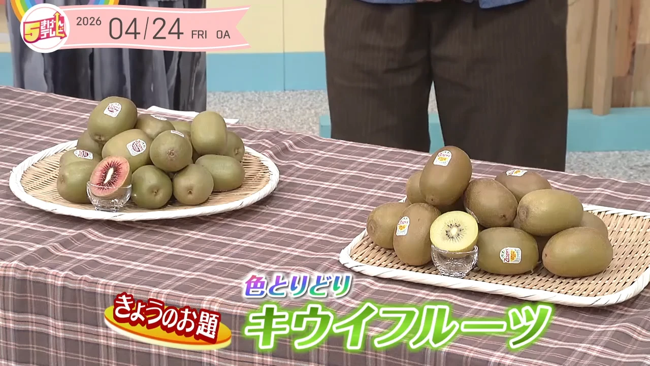5きげん知恵袋 ～色とりどりキウイフルーツ～の画像