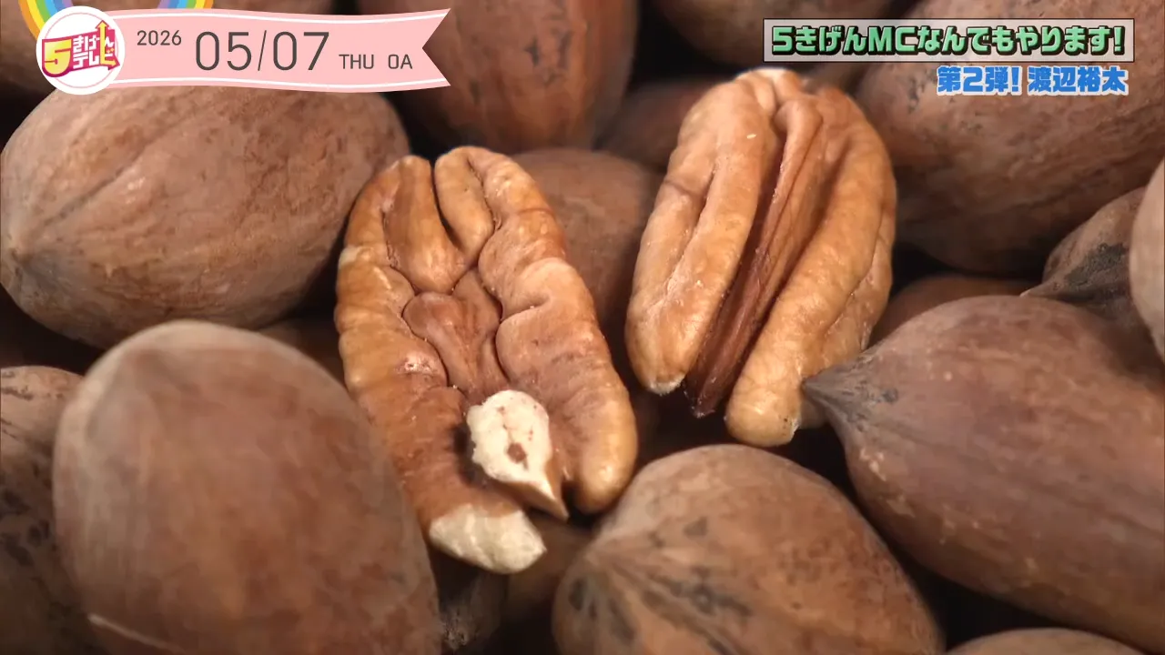 ピーカンナッツ 殻付き　国産　2026年産　750g×4最終品 最終値下げ‼︎ ごきげんMCなんでもやります第2弾～ピーカンナッツ～｜テレいわ屋