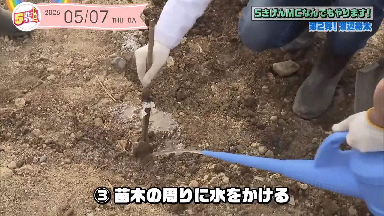 イメージ3