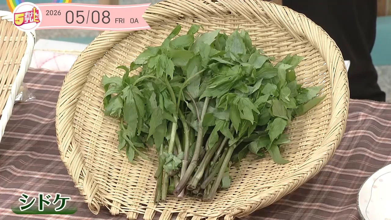 イメージ1