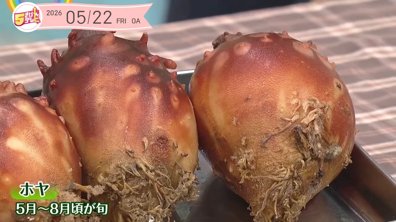 イメージ1
