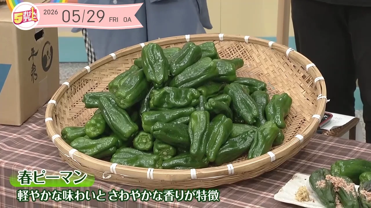 イメージ1