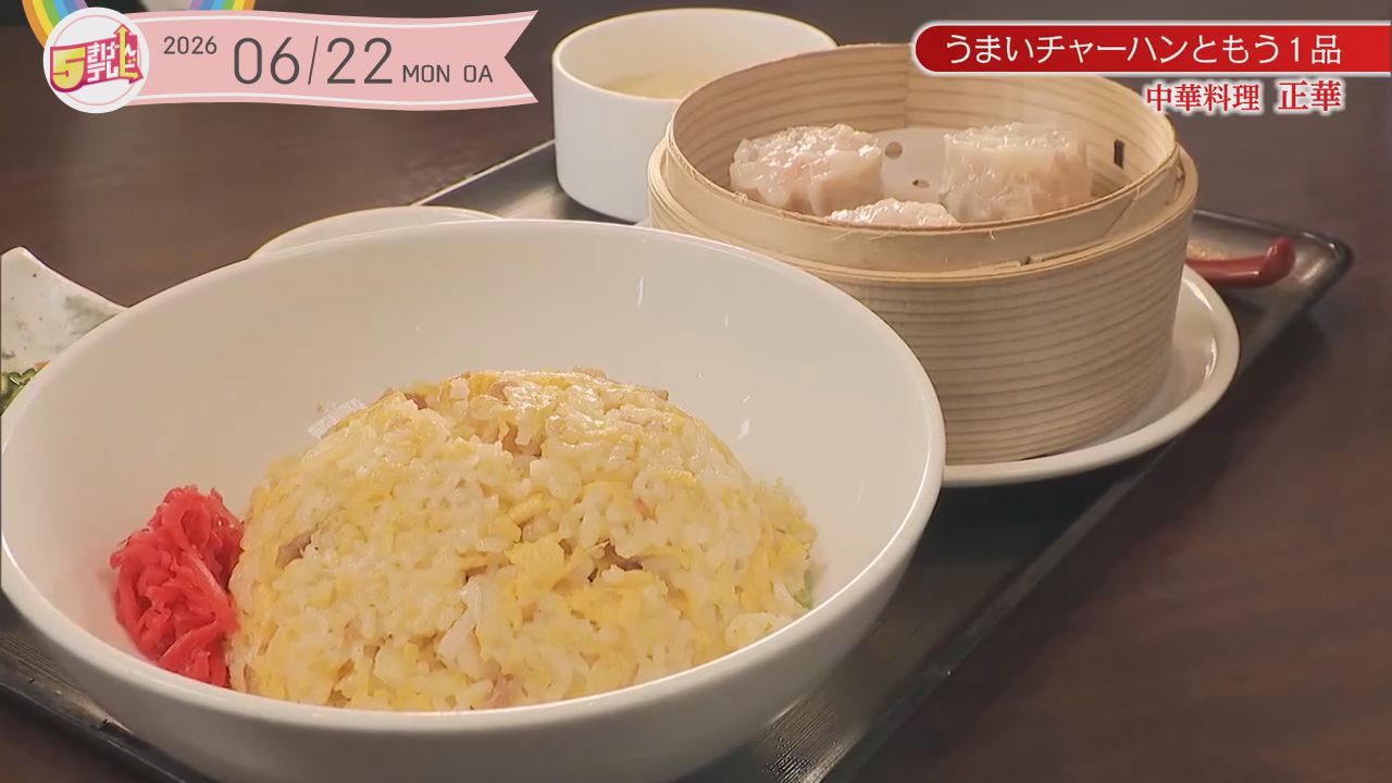 うまいチャーハンともう一品 | 中華料理 正華 みたけ店の画像