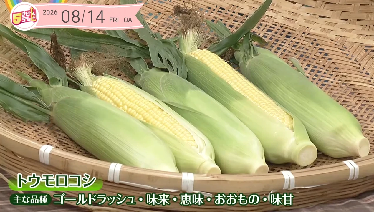 イメージ1