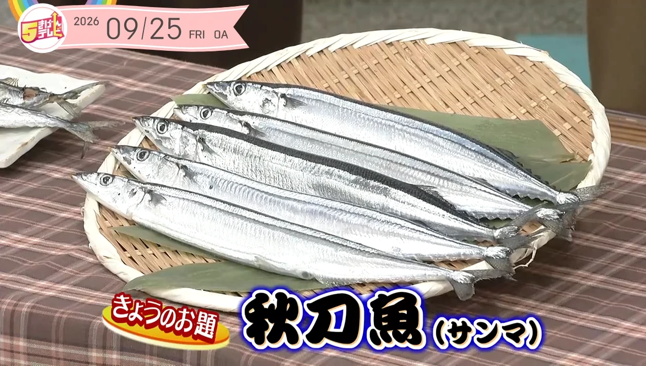 5きげん知恵袋 ～秋刀魚(サンマ)～の画像