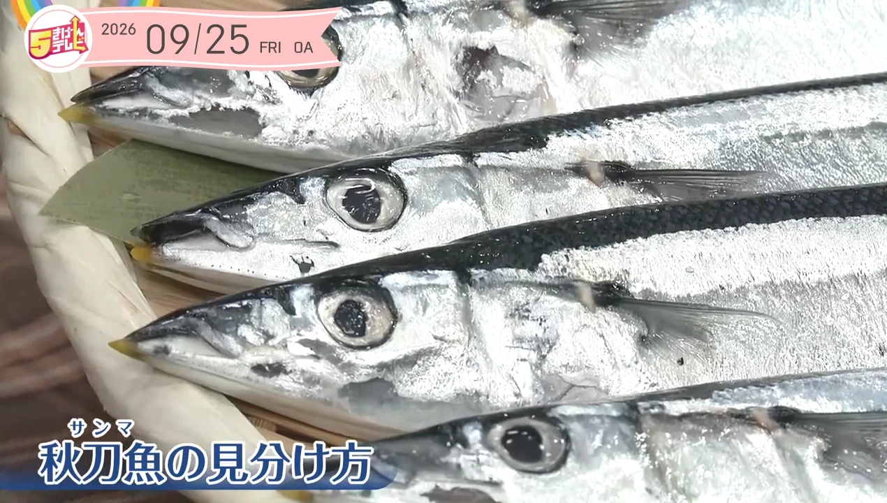 イメージ1