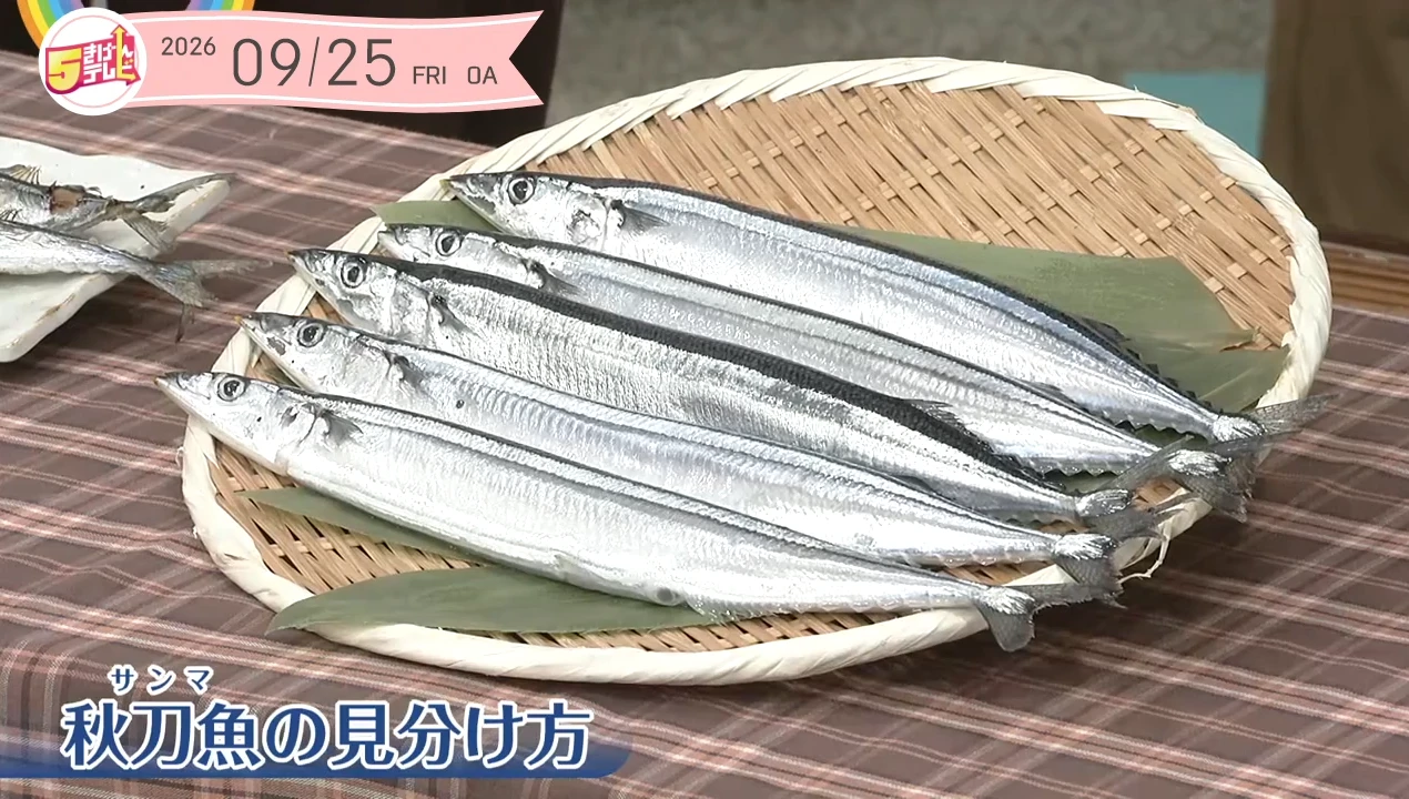 イメージ1