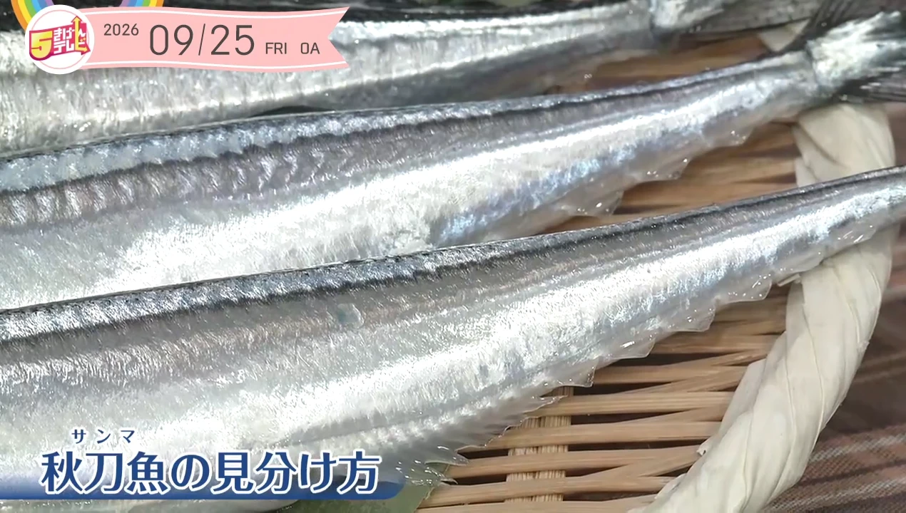 イメージ2
