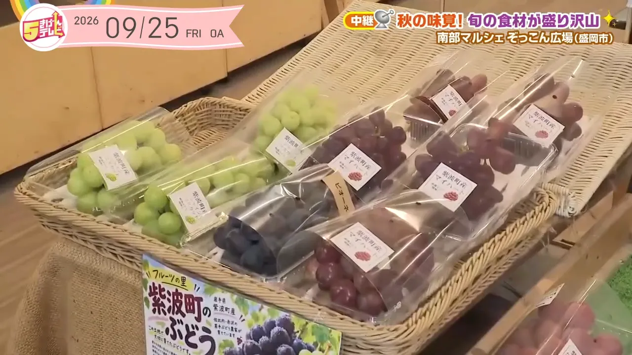 イメージ1