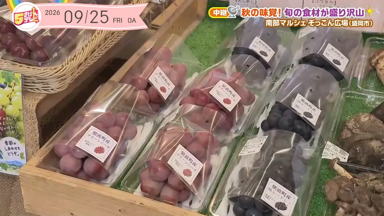 イメージ2