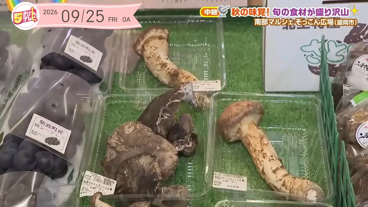 イメージ1