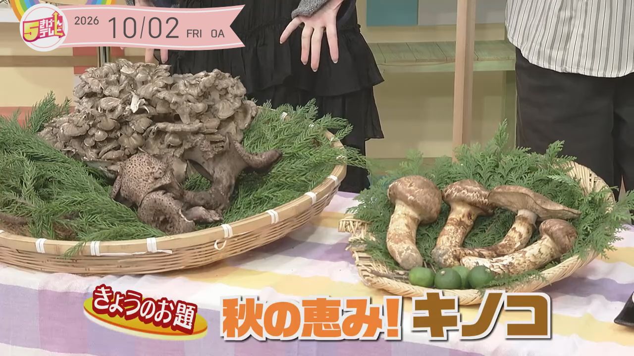 5きげん知恵袋 ～秋の恵み！キノコ～の画像