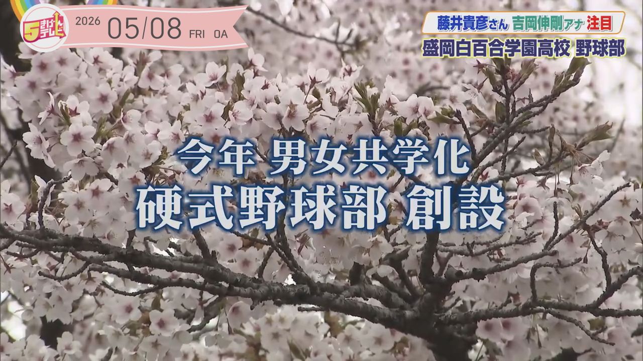 今年新設！白百合学園野球部！の画像