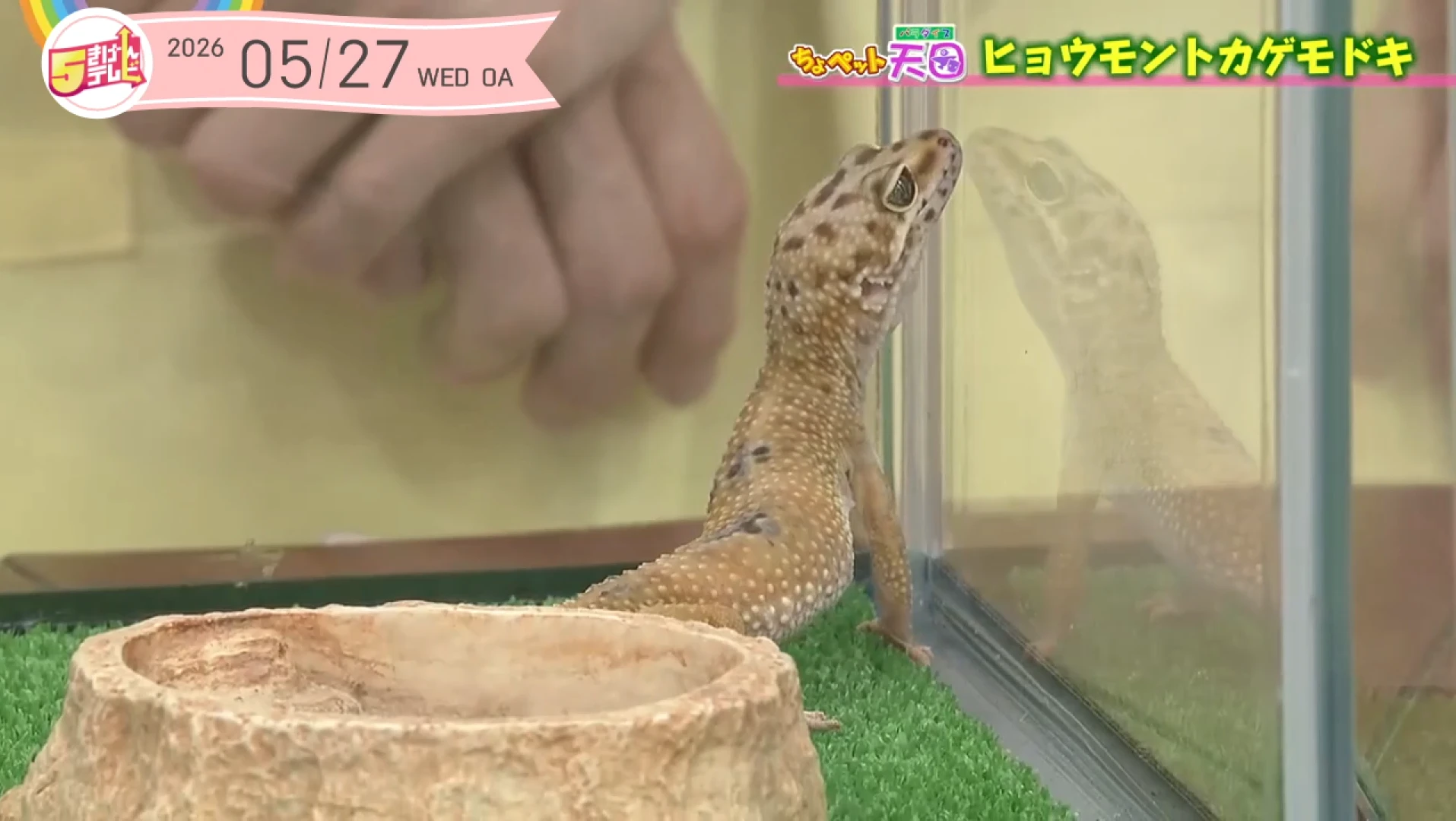 イメージ2