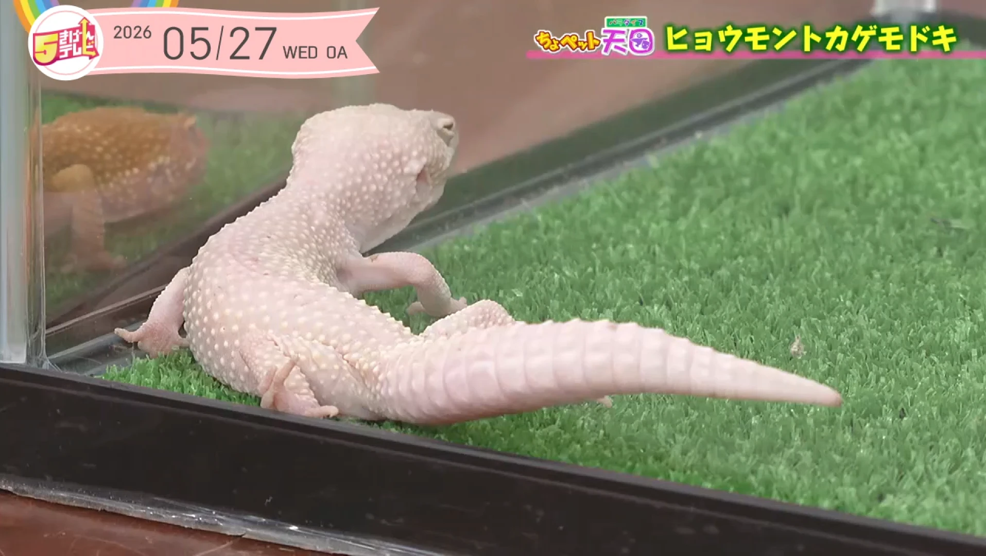 イメージ3