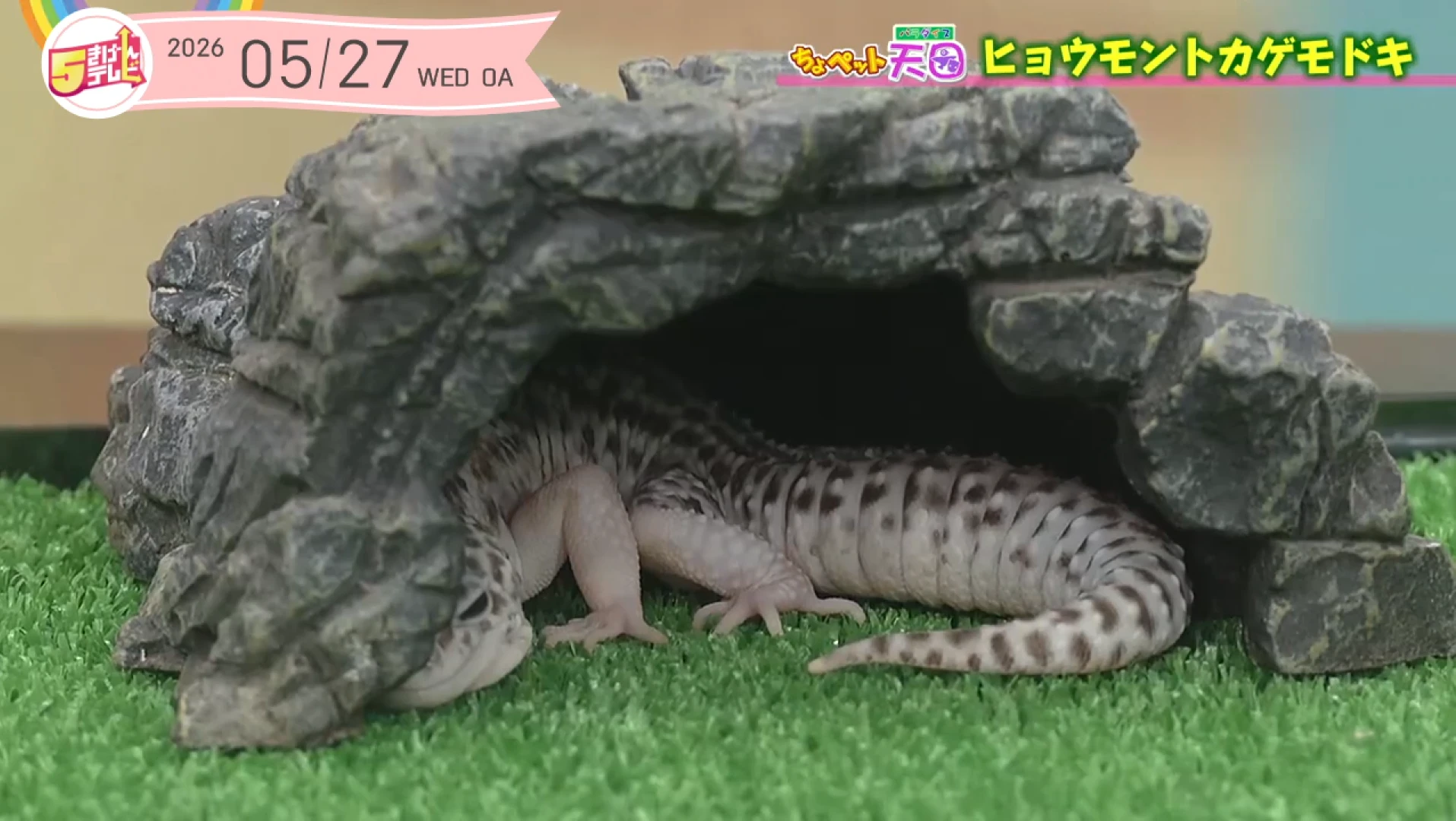 イメージ4