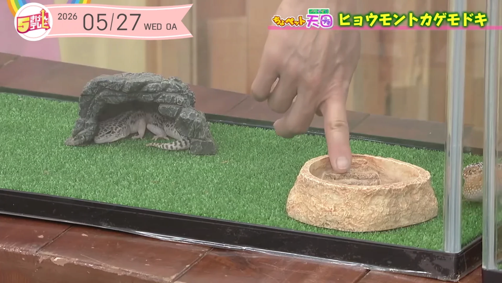 イメージ3