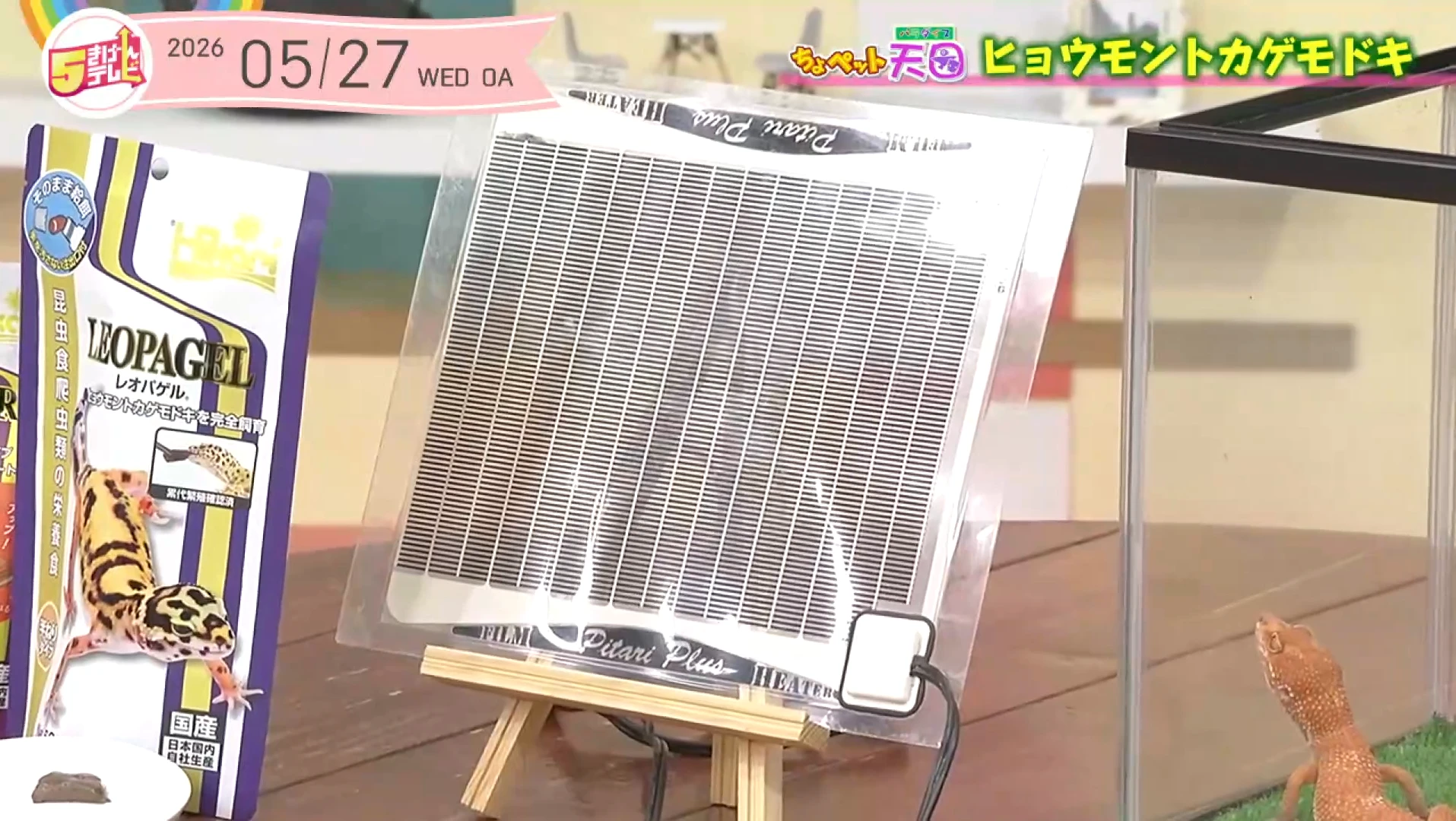 イメージ4