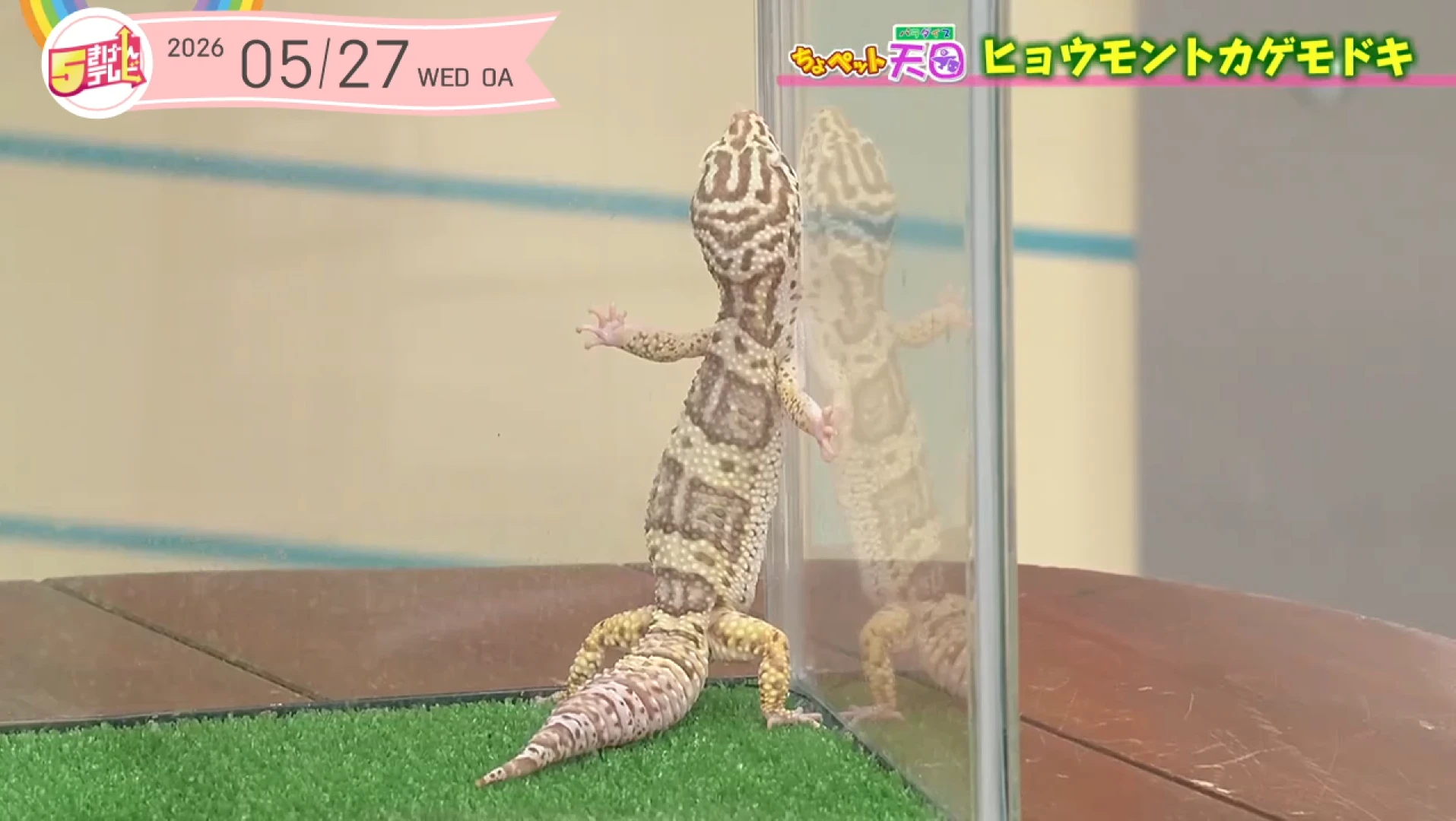 イメージ1