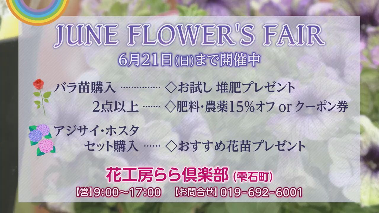 イメージ1