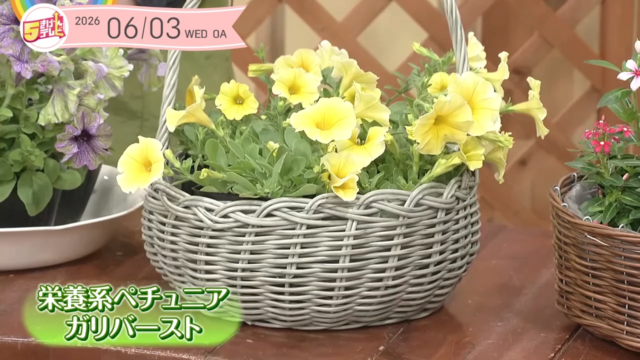 イメージ1