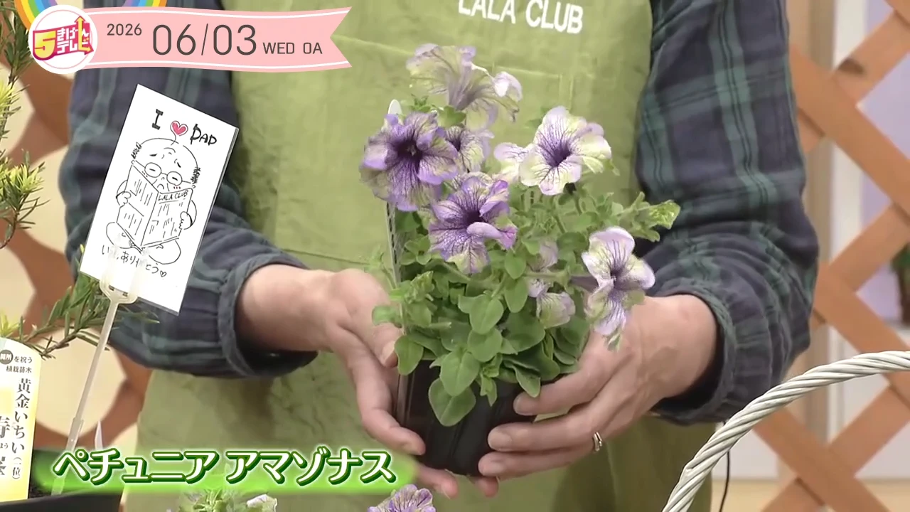 イメージ1
