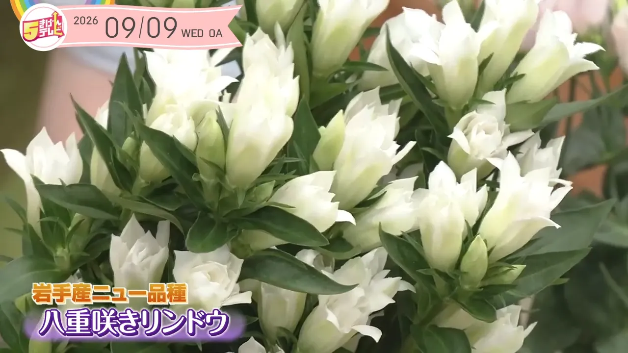 イメージ2