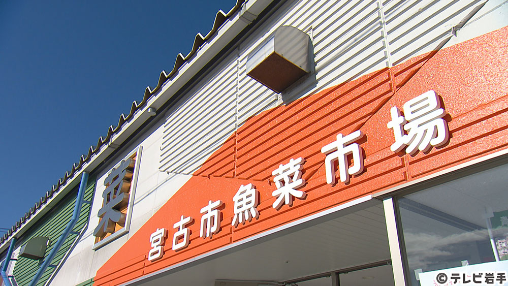 Vol.598 冬 みやこ日和｜夢・見る・ピノキオ｜テレビ岩手