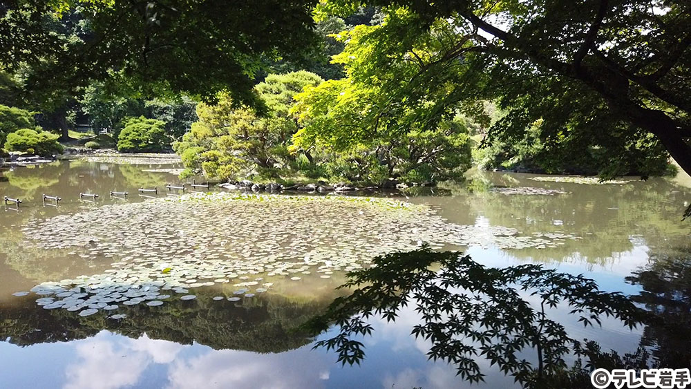 池を巡る庭園