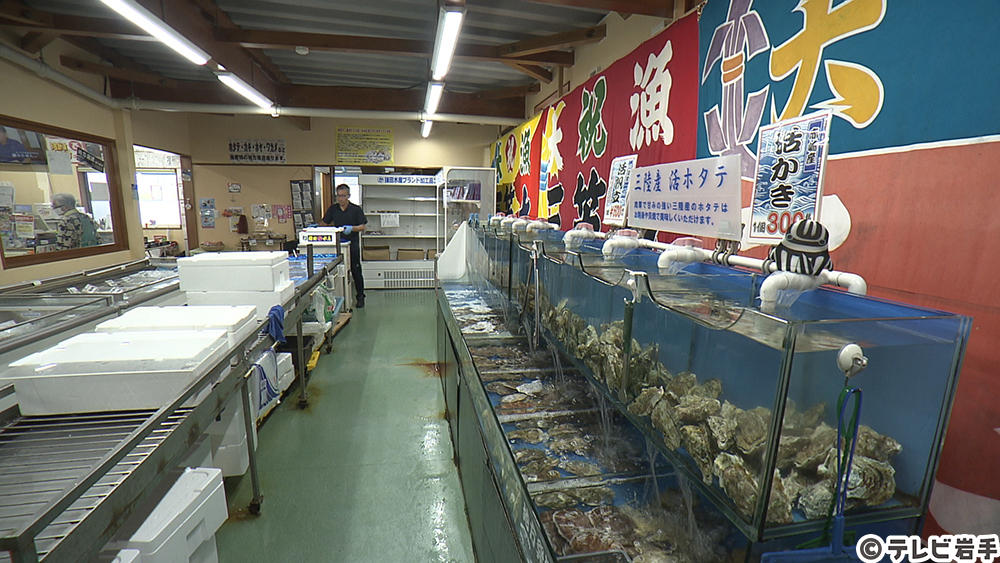 新鮮な秋刀魚を