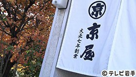 100年染物